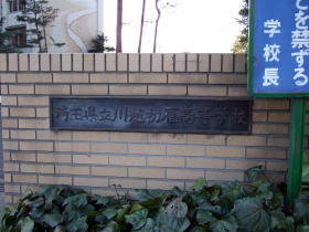 z卂Z