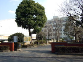 䍂Z