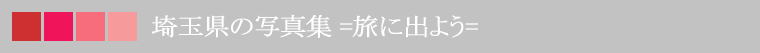 ʌ̎ʐ^W =ɏo悤=
