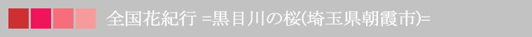 SԋIs =ڐ̍ (ʌs) =