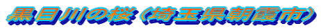 ڐ̍ (ʌs)