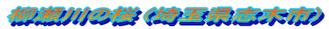 ̍ (ʌu؎s)