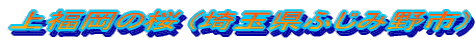 㕟̍