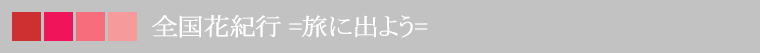 ̎